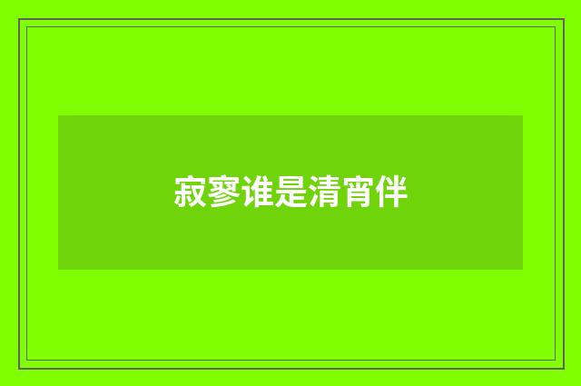 寂寥谁是清宵伴