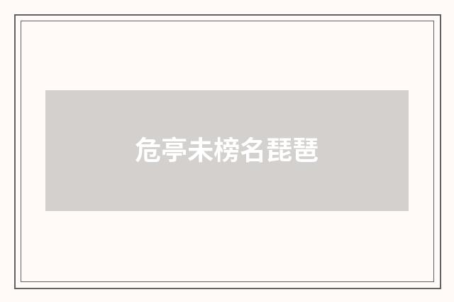 危亭未榜名琵琶