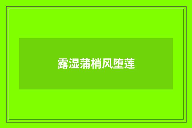 露湿蒲梢风堕莲