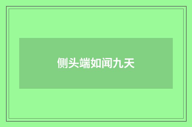 侧头端如闻九天