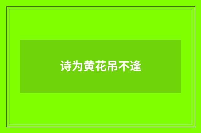 诗为黄花吊不逢