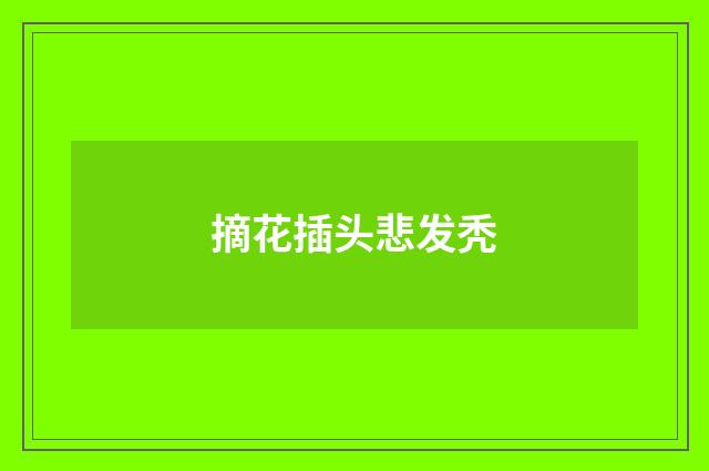 摘花插头悲发秃