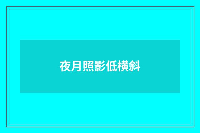 夜月照影低横斜