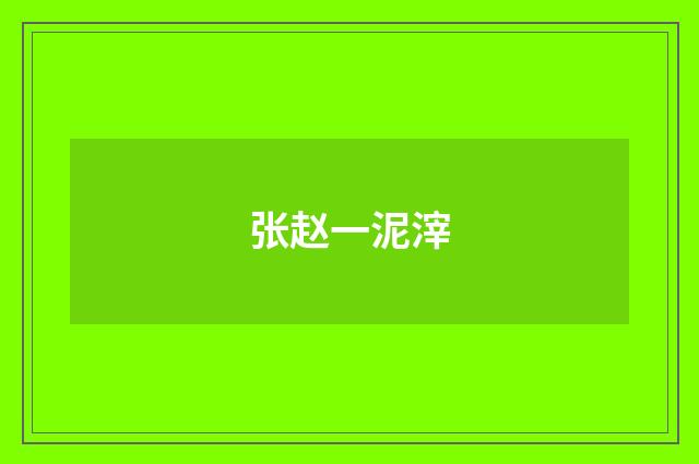 张赵一泥滓
