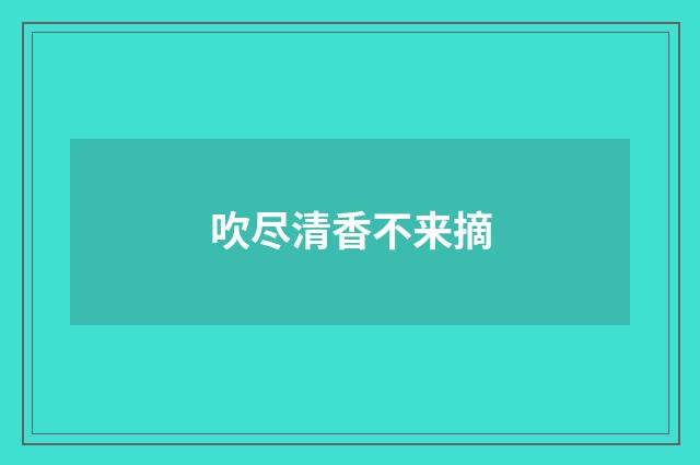 吹尽清香不来摘