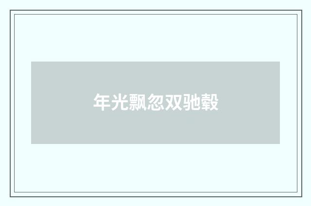 年光飘忽双驰毂