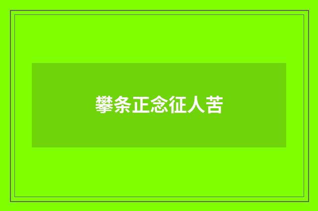 攀条正念征人苦
