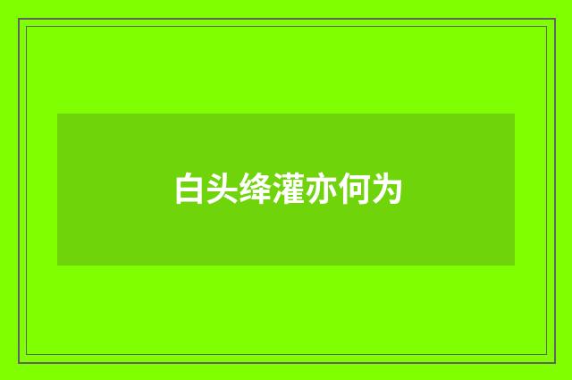 白头绛灌亦何为