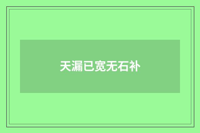 天漏已宽无石补