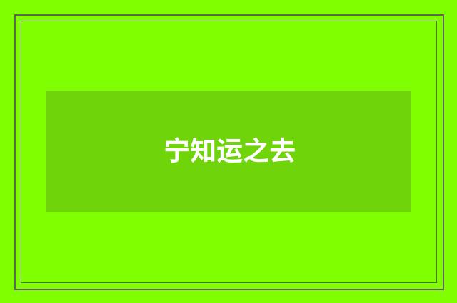 宁知运之去