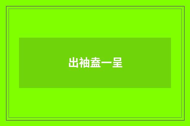 出袖盍一呈