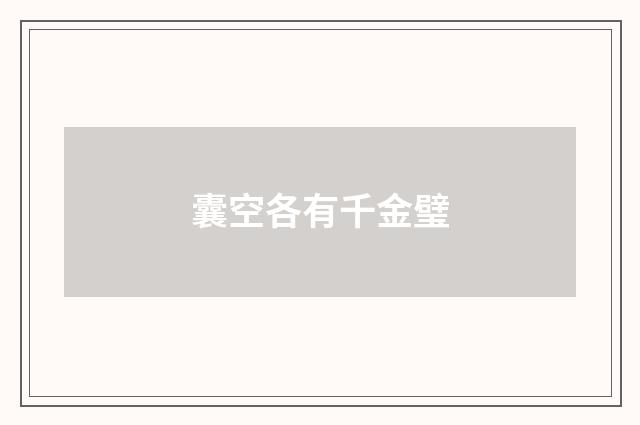 囊空各有千金璧