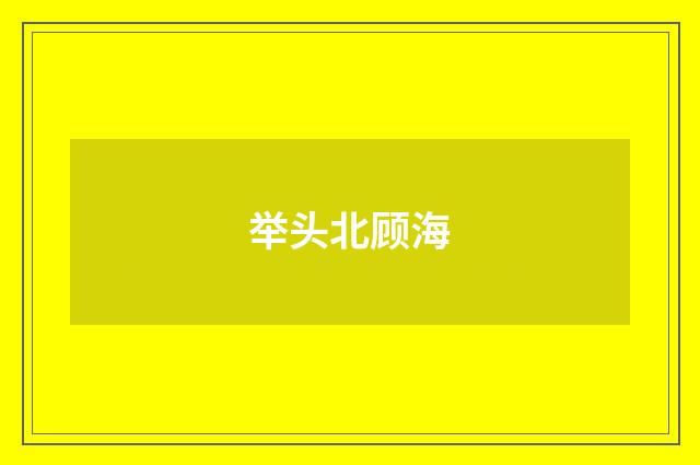 举头北顾海