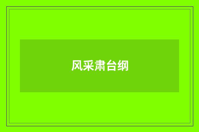 风采肃台纲