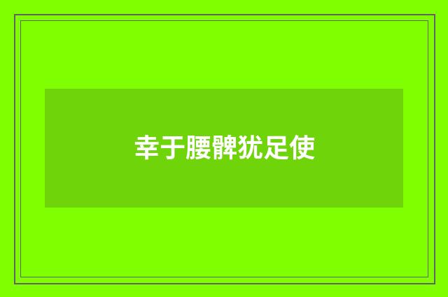 幸于腰髀犹足使