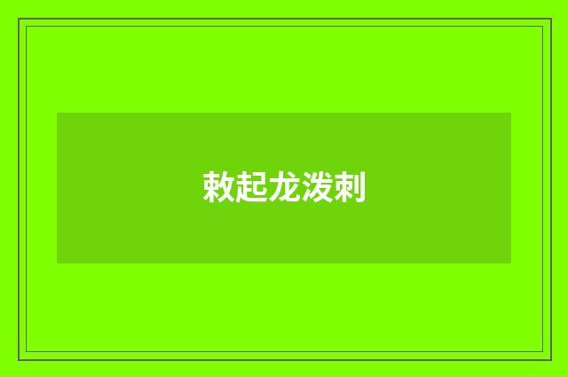 敕起龙泼刺