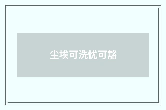 尘埃可洗忧可豁