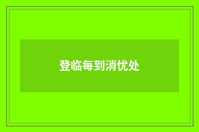 登临每到消忧处