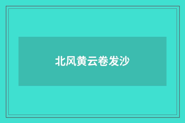 北风黄云卷发沙
