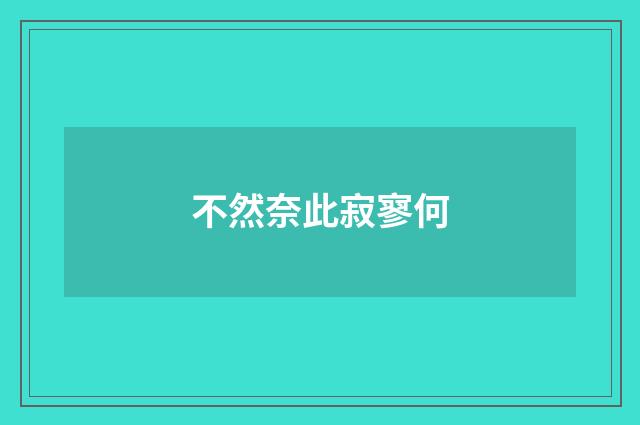 不然奈此寂寥何