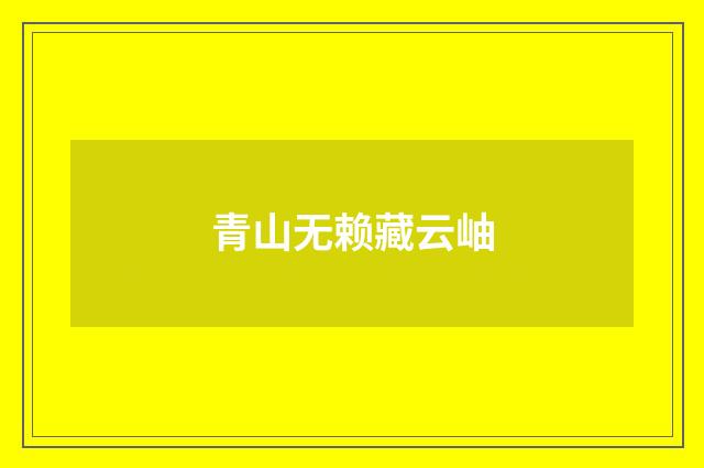 青山无赖藏云岫