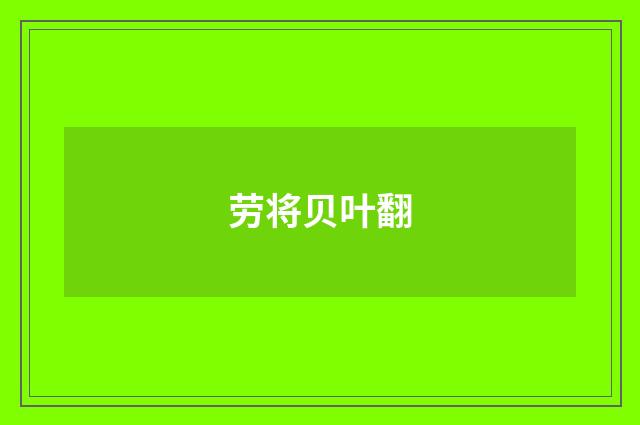劳将贝叶翻