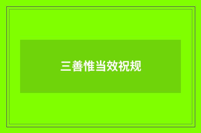三善惟当效祝规