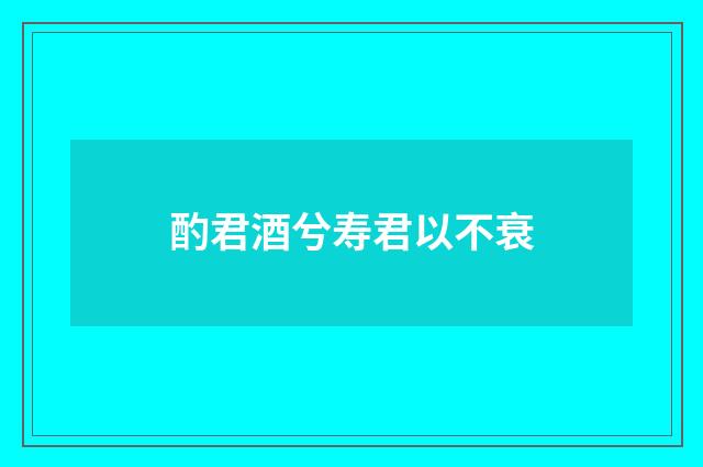 酌君酒兮寿君以不衰