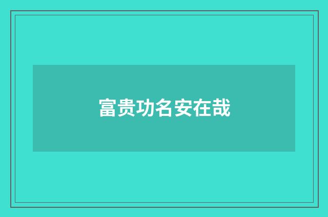 富贵功名安在哉