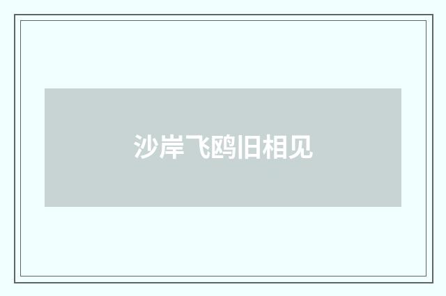 沙岸飞鸥旧相见