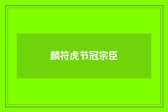 麟符虎节冠宗臣