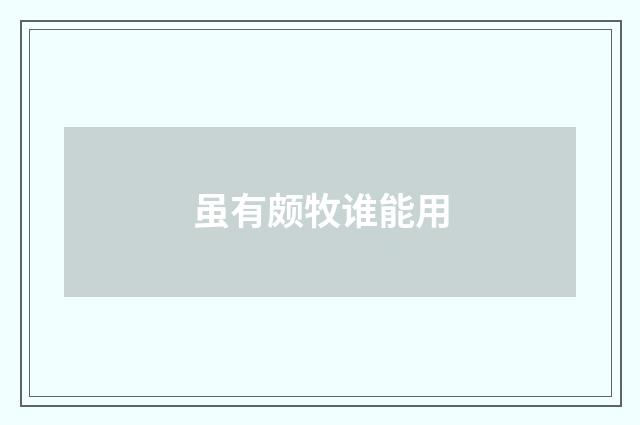 虽有颇牧谁能用