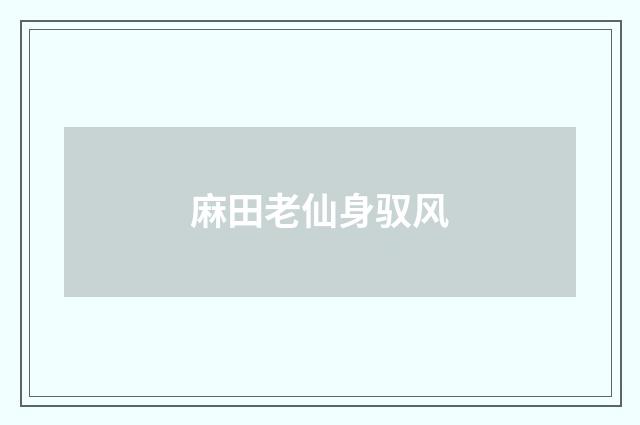 麻田老仙身驭风