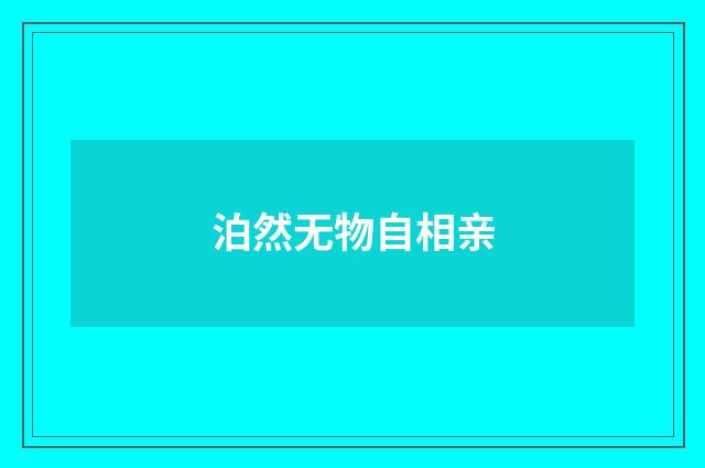 泊然无物自相亲