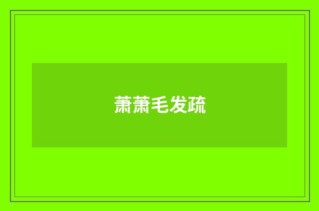 萧萧毛发疏