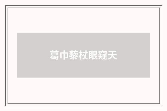 葛巾藜杖眼窥天