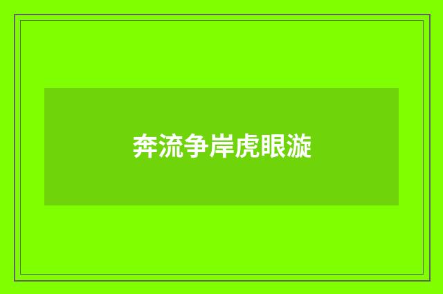 奔流争岸虎眼漩