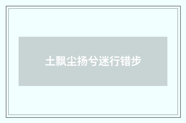 土飘尘扬兮迷行错步