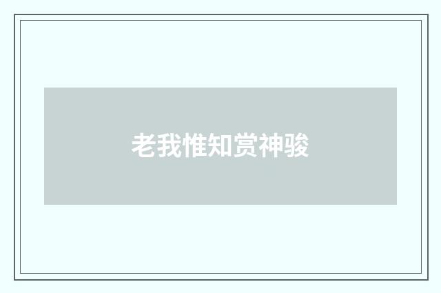 老我惟知赏神骏