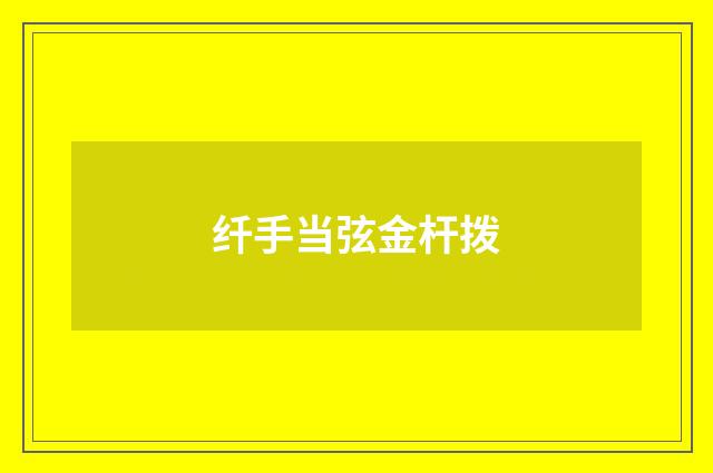 纤手当弦金杆拨