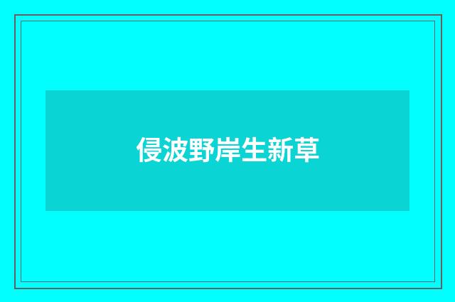 侵波野岸生新草