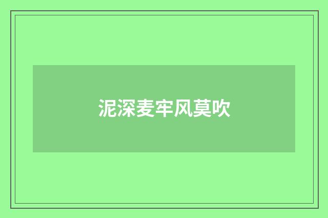 泥深麦牢风莫吹