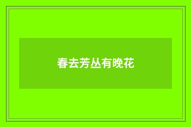 春去芳丛有晚花