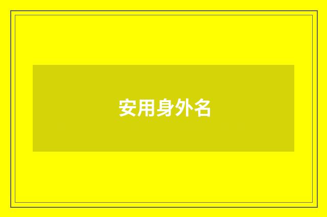 安用身外名