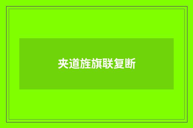 夹道旌旗联复断