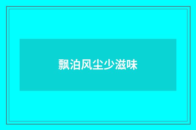 飘泊风尘少滋味