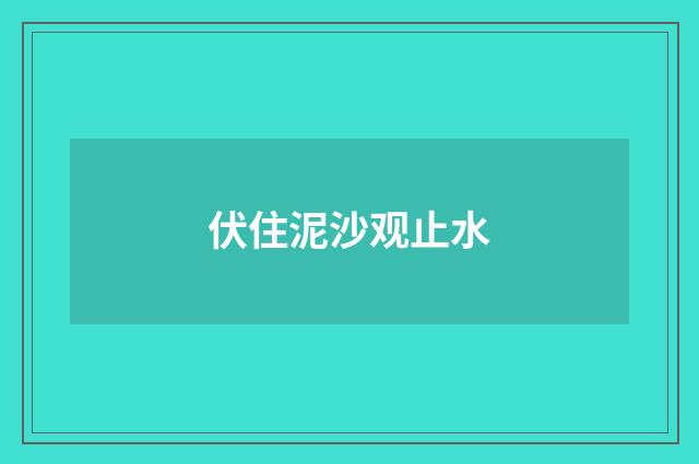 伏住泥沙观止水