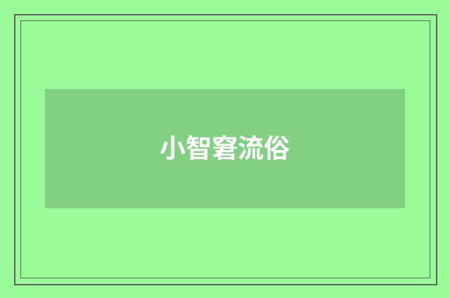 小智窘流俗