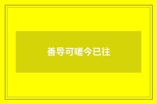 善导可嗟今已往