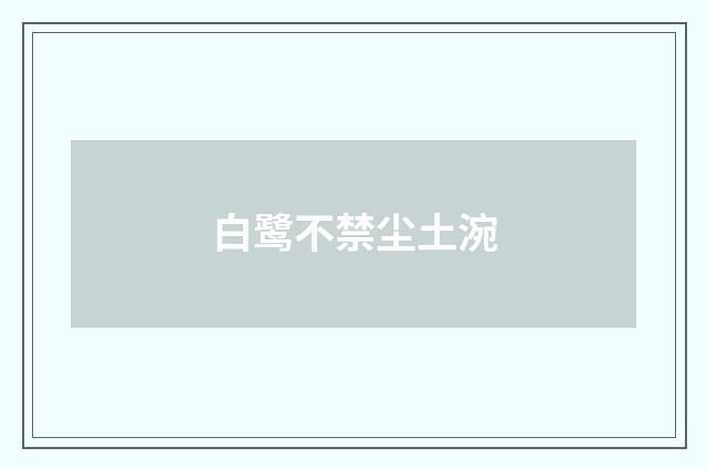 白鹭不禁尘土涴